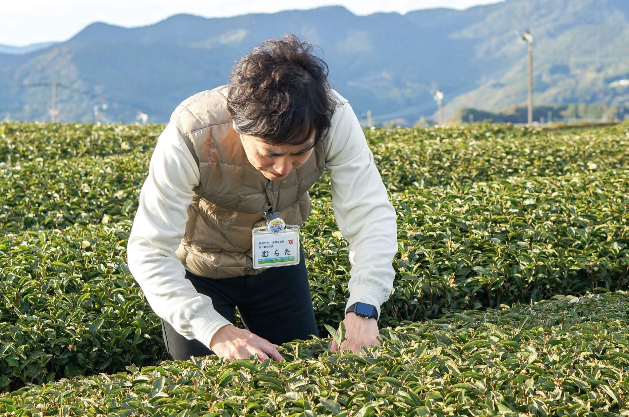 村田さん　茶畑の中で