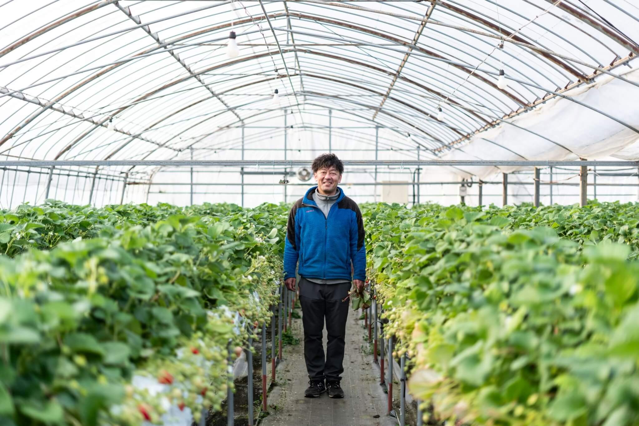 「この町の農業を、未来へ。」ファーミライズ株式会社が育てるいちごと、叶えたい”農業のかたち”