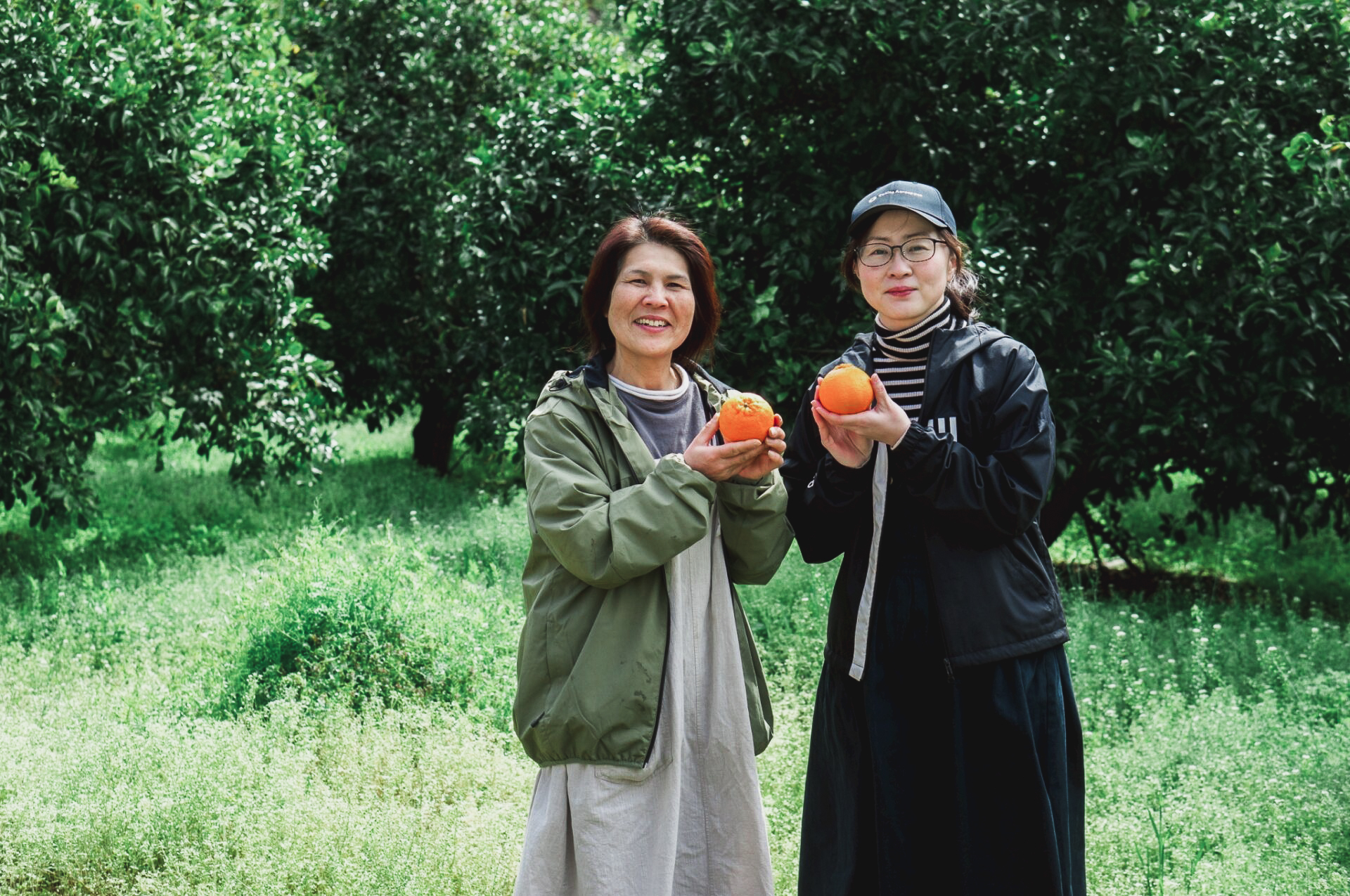 ”可愛いがりよらしたけん、守っていきたいな” ３代目みかん農家 山田公子さんが日々思うこと